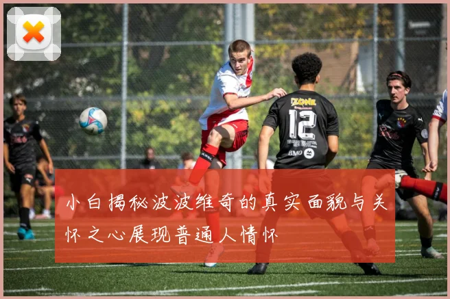 小白揭秘波波维奇的真实面貌与关怀之心展现普通人情怀