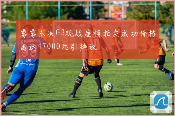 霉霉东决G3观战座椅拍卖成功价格高达47000元引热议