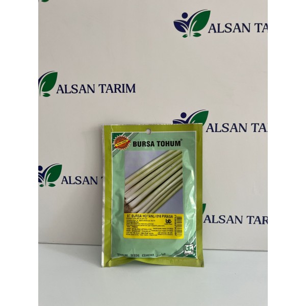 BT Hotanlı Pırasa Tohumu 25GR